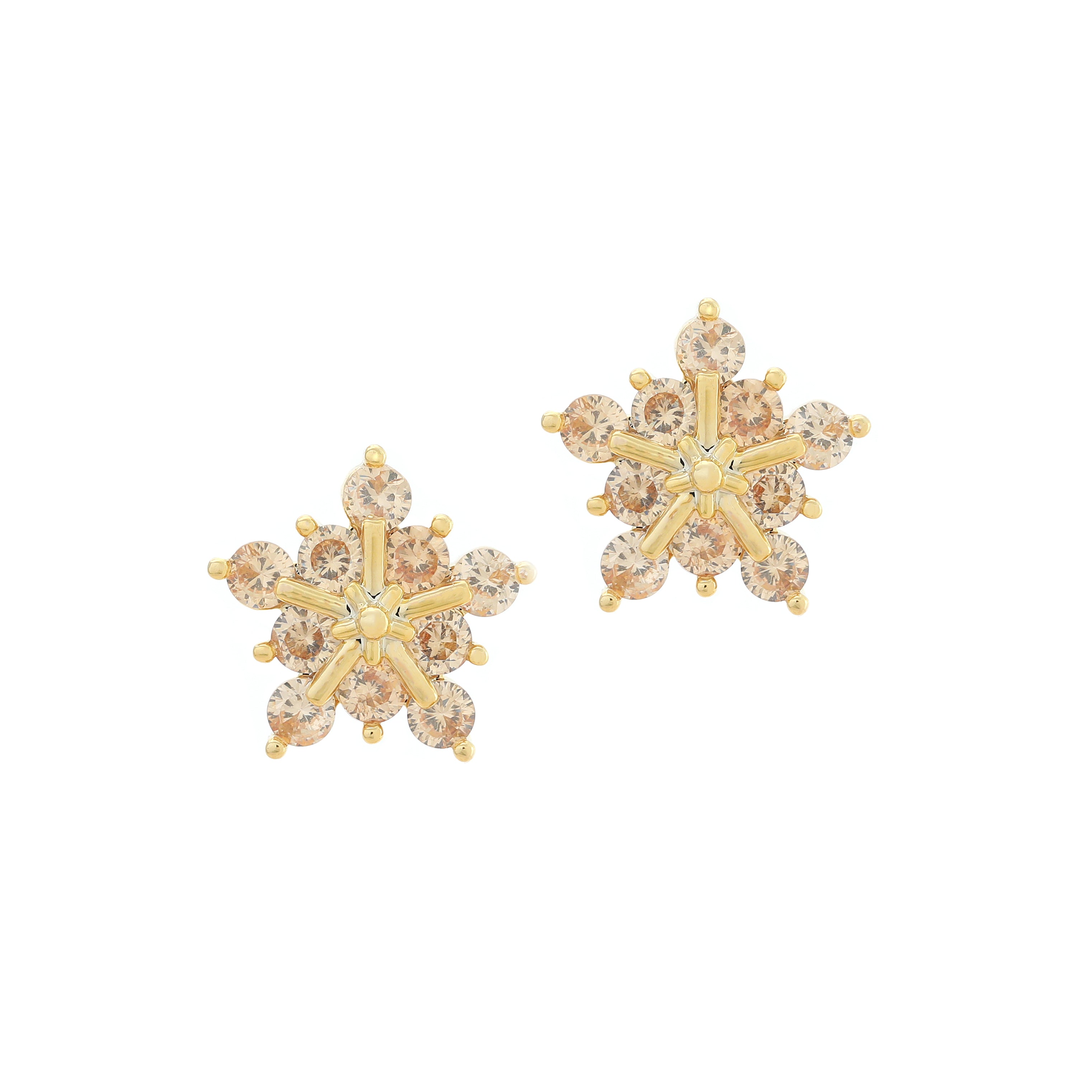 Snow Charm Dots Earrings